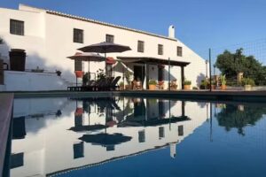 MOLINO DE BERNAB&Eacute;