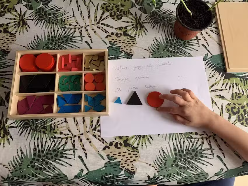 Montessori Entertainment Internacional