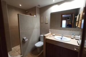 Mountain apartment near Port del Comte