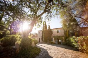 NEUE WEGE Yoga Finca Son Mola Vell