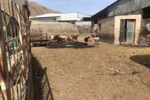 Parada Los Castillas