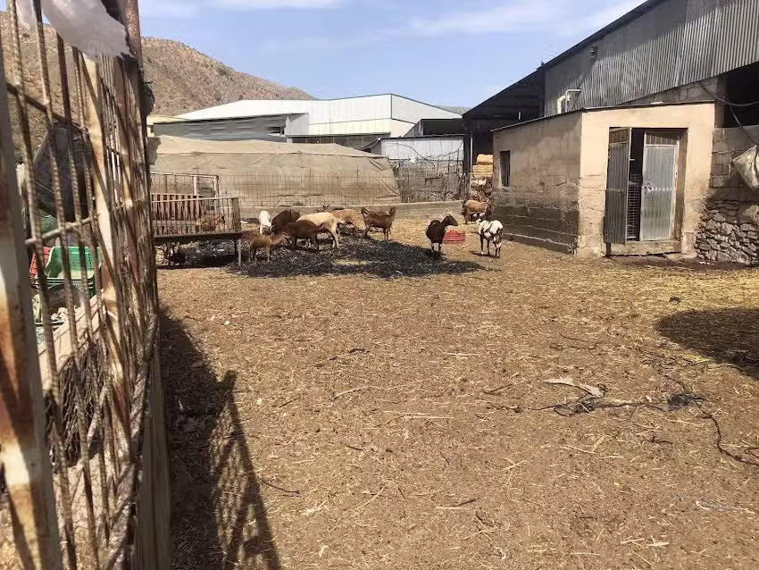 Parada Los Castillas