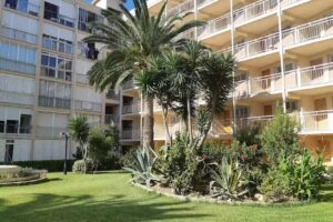 Paradis Playa Apartments