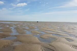 Paseo de Los Gavilanes, s/n.