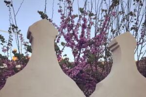 Patio San Andr&eacute;s