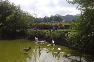 Pension Alfoz de Rondiella