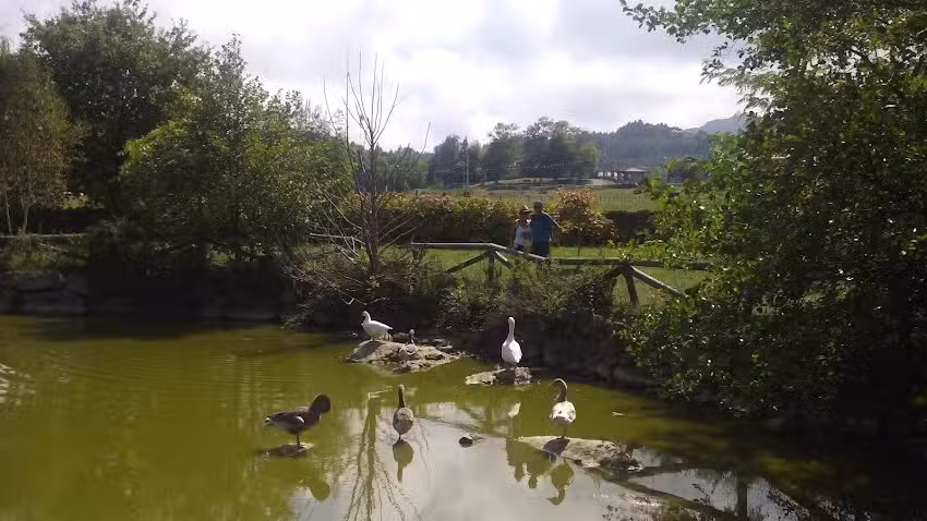 Pension Alfoz de Rondiella