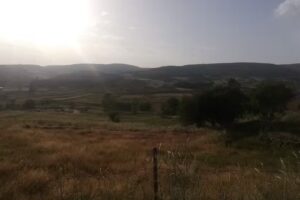 Pensi&oacute;n Almanzor