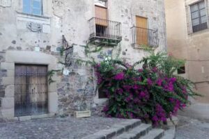 Pensi&oacute;n Carretero