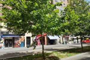 Pensi&oacute;n Corona