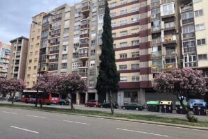 Pensi&oacute;n Irene