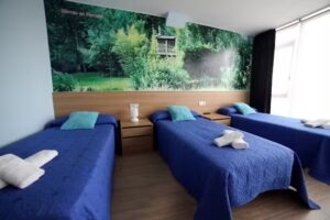 Pensi&oacute;n Pardellas