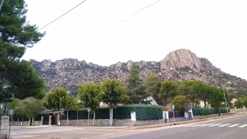 Pic&oacute; de la Miel S A