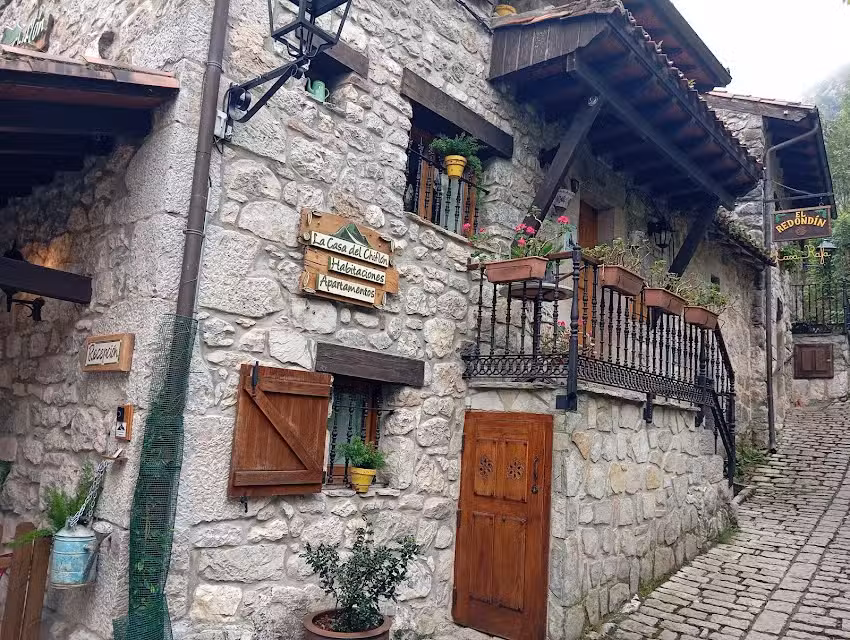Picos de Europa Chic & Cool Apartments