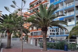 Poem Suites by Airnest