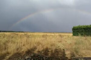 Posada Hospeder&iacute;a La Cenia