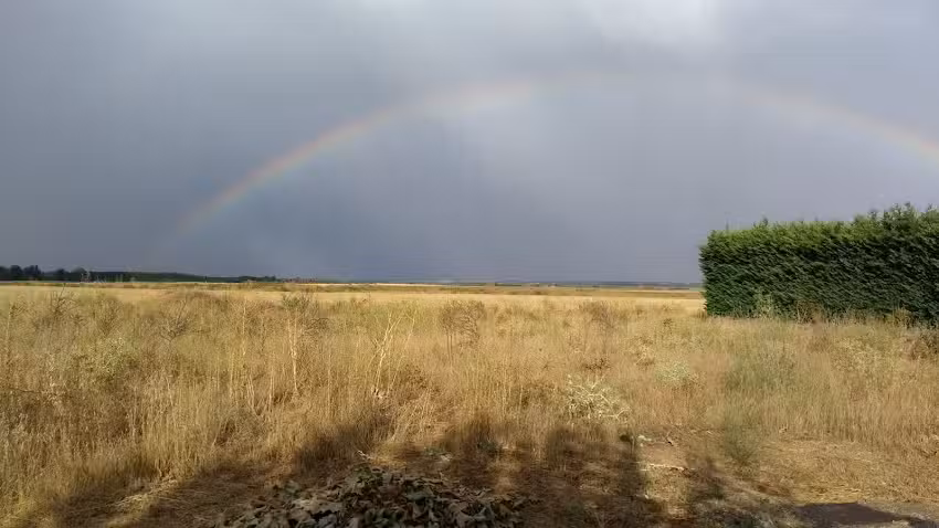 Posada Hospeder&iacute;a La Cenia