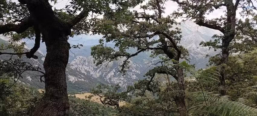 Posada Trevi&ntilde;o