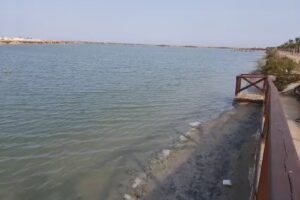 Pp San Pedro Del Pinatar