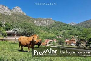 Premier Home Vacacional