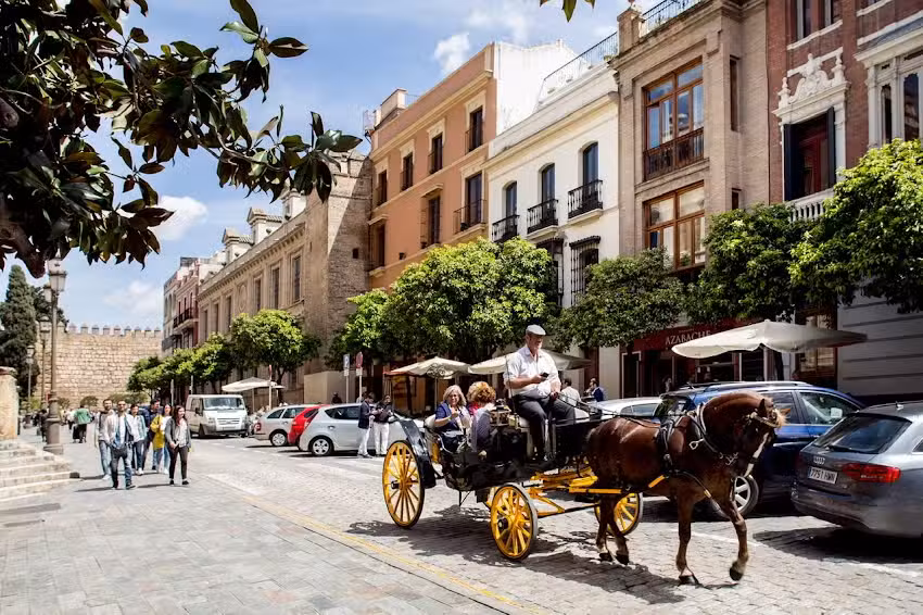 Puerta Catedral Indias Lofts