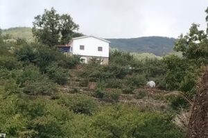 Puerto de la serrana