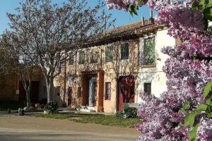 QUINTA DEL JAL&Oacute;N