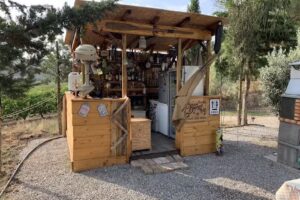 R U Ready Fishing Camp River Ebro