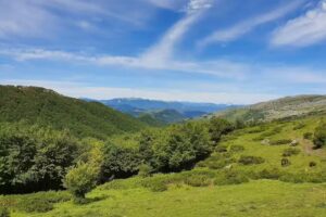 Refugio Amigos de Aralar