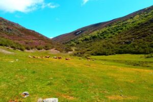 Refugio De Caboalles