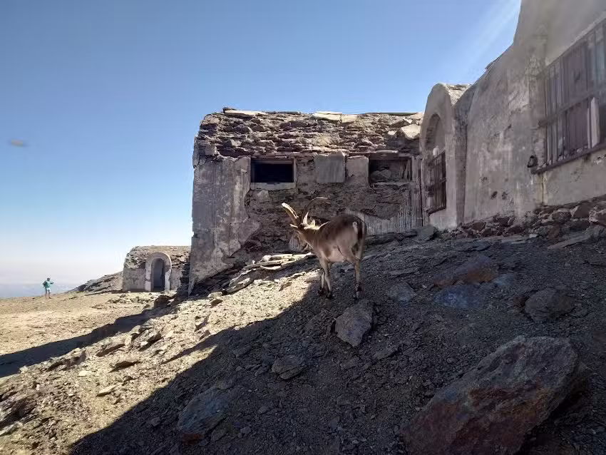 Refugio de Elorrieta 3187m