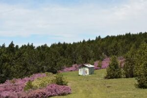 Refugio de Las Azuelas
