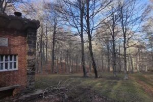 Refugio del hayedo de Santiago