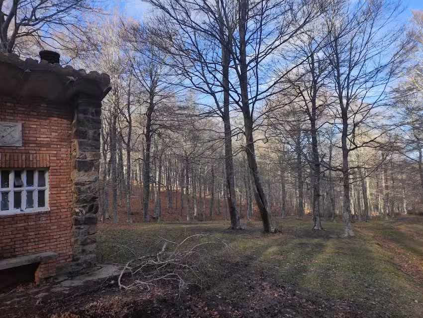 Refugio del hayedo de Santiago
