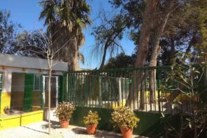 Residencia Canina Reina