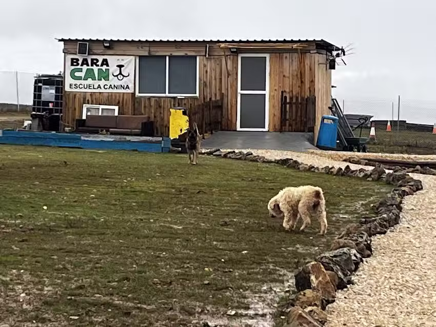 residencia canina Soria baracan