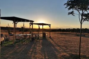 Residencia Canina y centro de ocio Alanos de Toletum