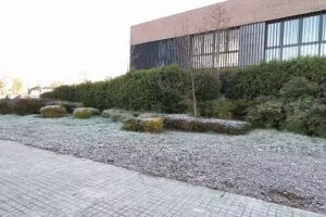 Residencia Mas Vella Terra