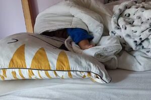 Residencia Villanueva de G&aacute;llego