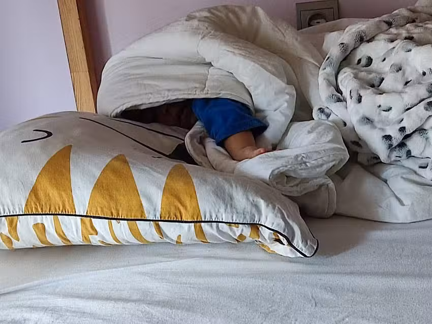 Residencia Villanueva de G&aacute;llego