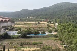 Restaurant Hostal Boutique L&rsquo;Algars