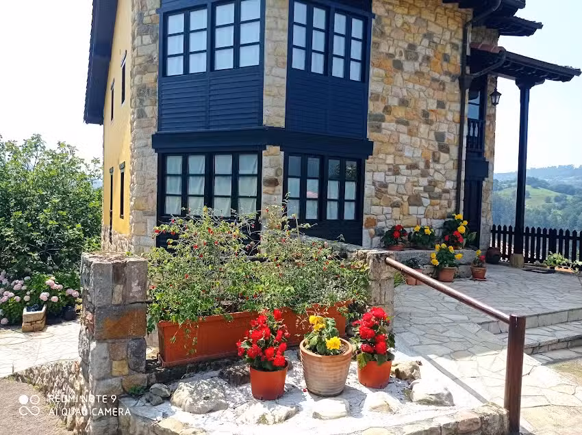 Rodiles de Matis&oacute;n