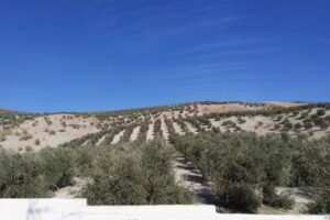 Rural guesthouse Casa Catherine