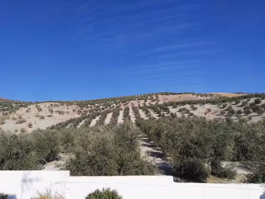 Rural guesthouse Casa Catherine