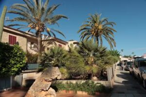 Sa Coma Cala Millor S A