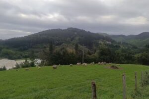 Sagarmintxe Aptos. Tur&iacute;sticos