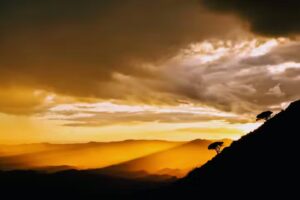 Sea to Sky Suites &ndash; Apartment Holiday Rentals &ndash; Mijas