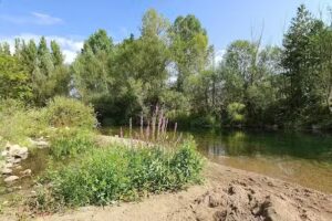 Sope&ntilde;a de Curue&ntilde;o