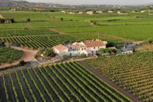 Soul Farm mas els Igols