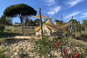 Stone Pines Eco Glamping